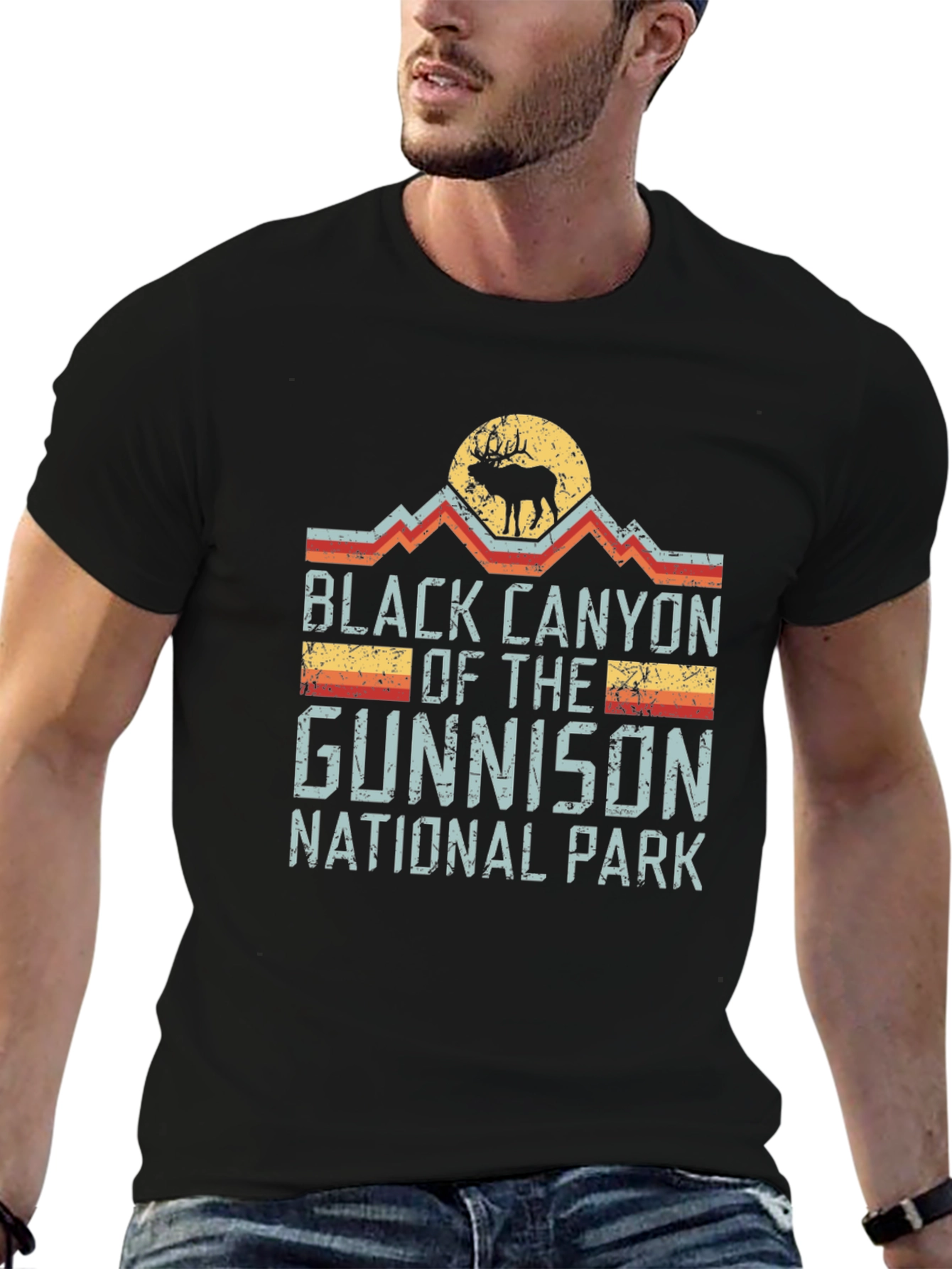 Black Canyon National Park Retro T-Shirt