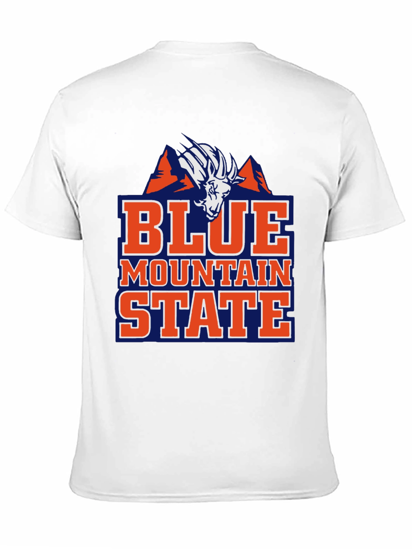 Blue Mountain State T-Shirt Funny BMS College Tee