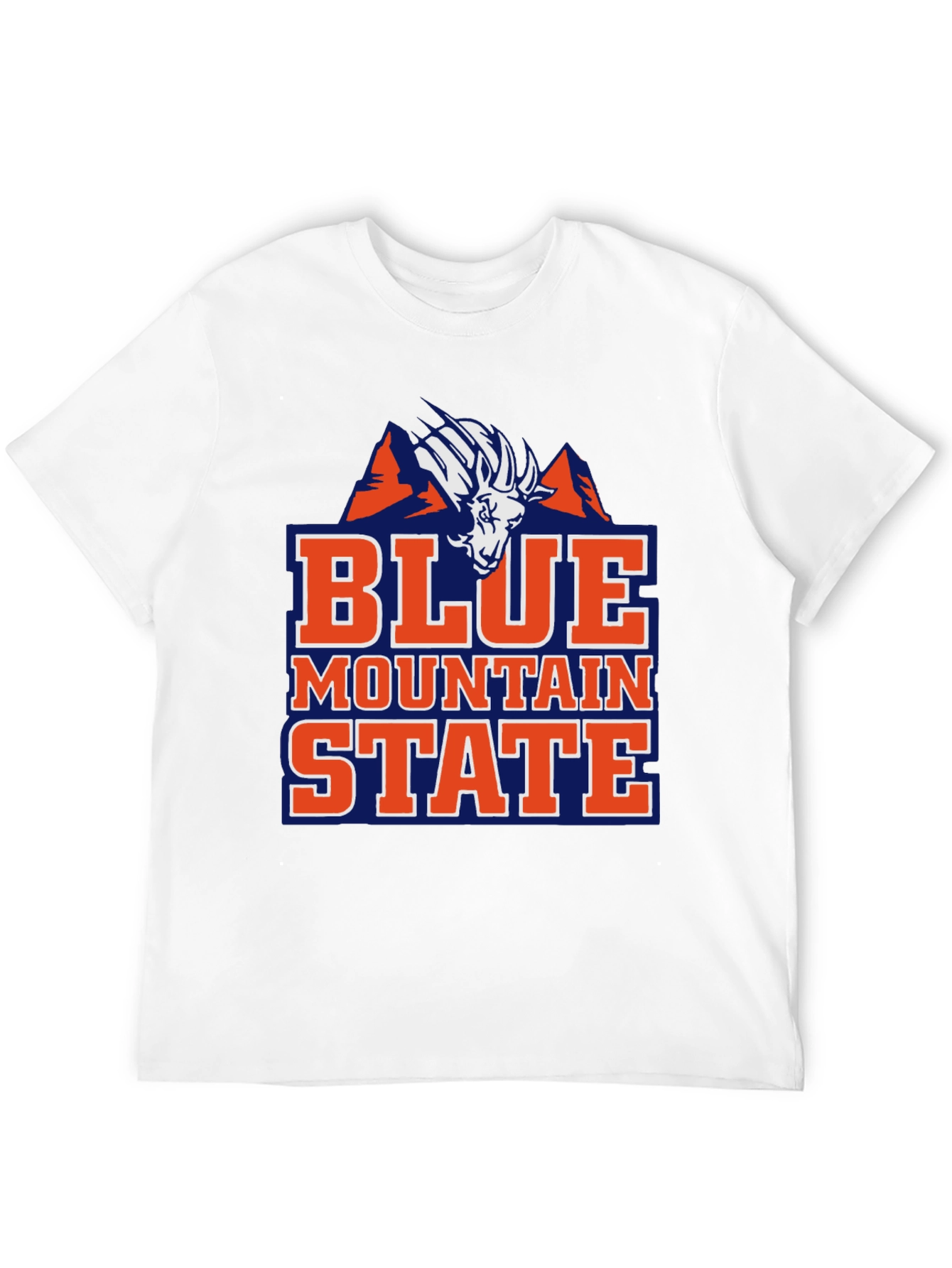 Blue Mountain State T-Shirt Funny BMS College Tee