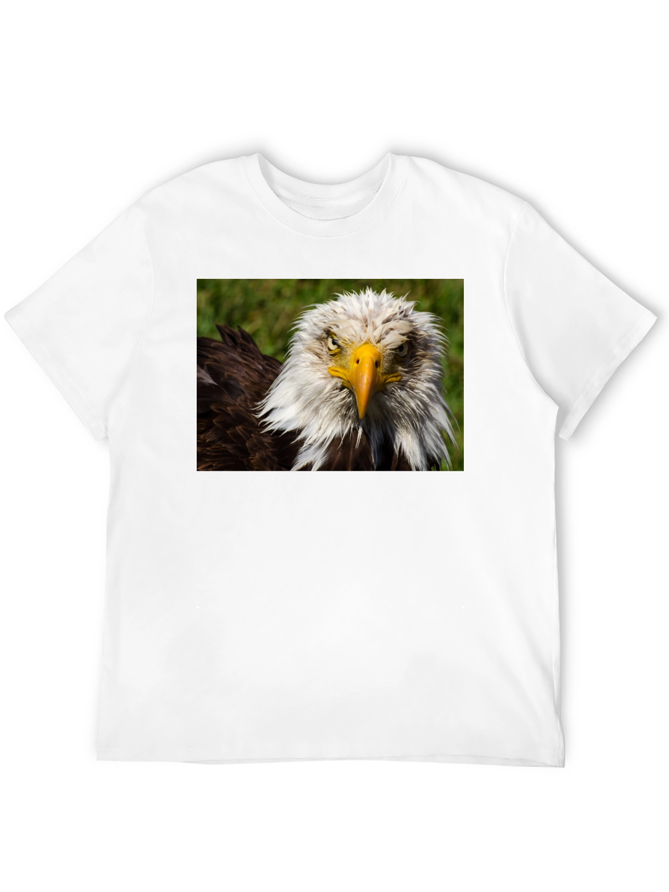 Bald Eagle Graphic T-Shirt - Bold American Style