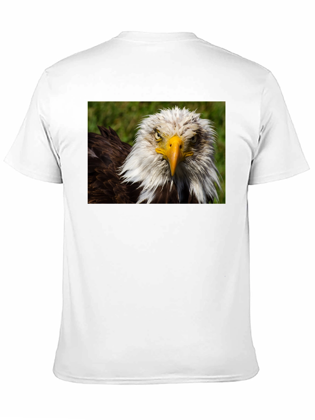 Bald Eagle Graphic T-Shirt - Bold American Style