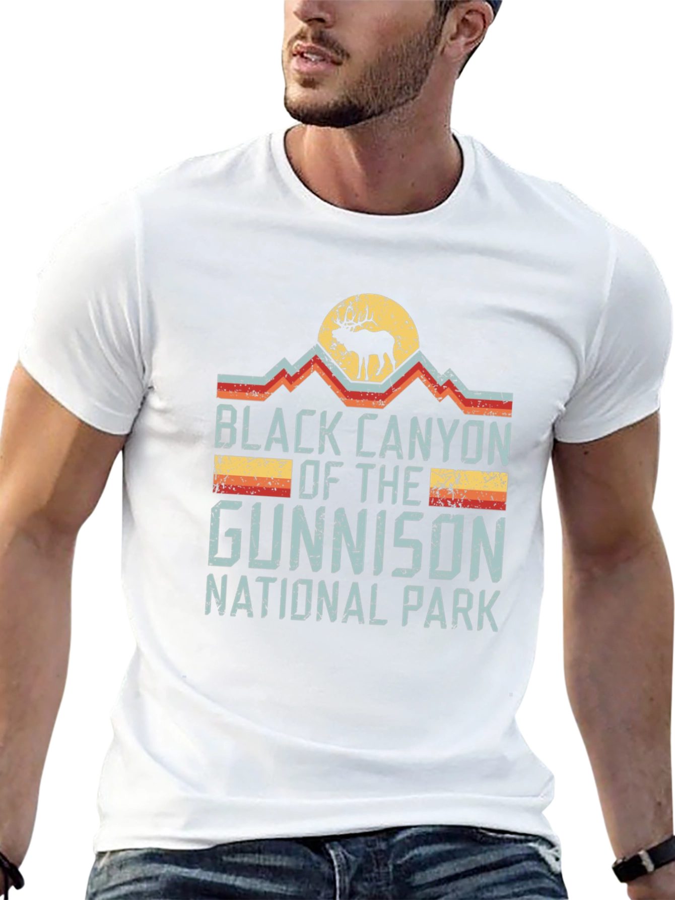 Black Canyon National Park Retro T-Shirt
