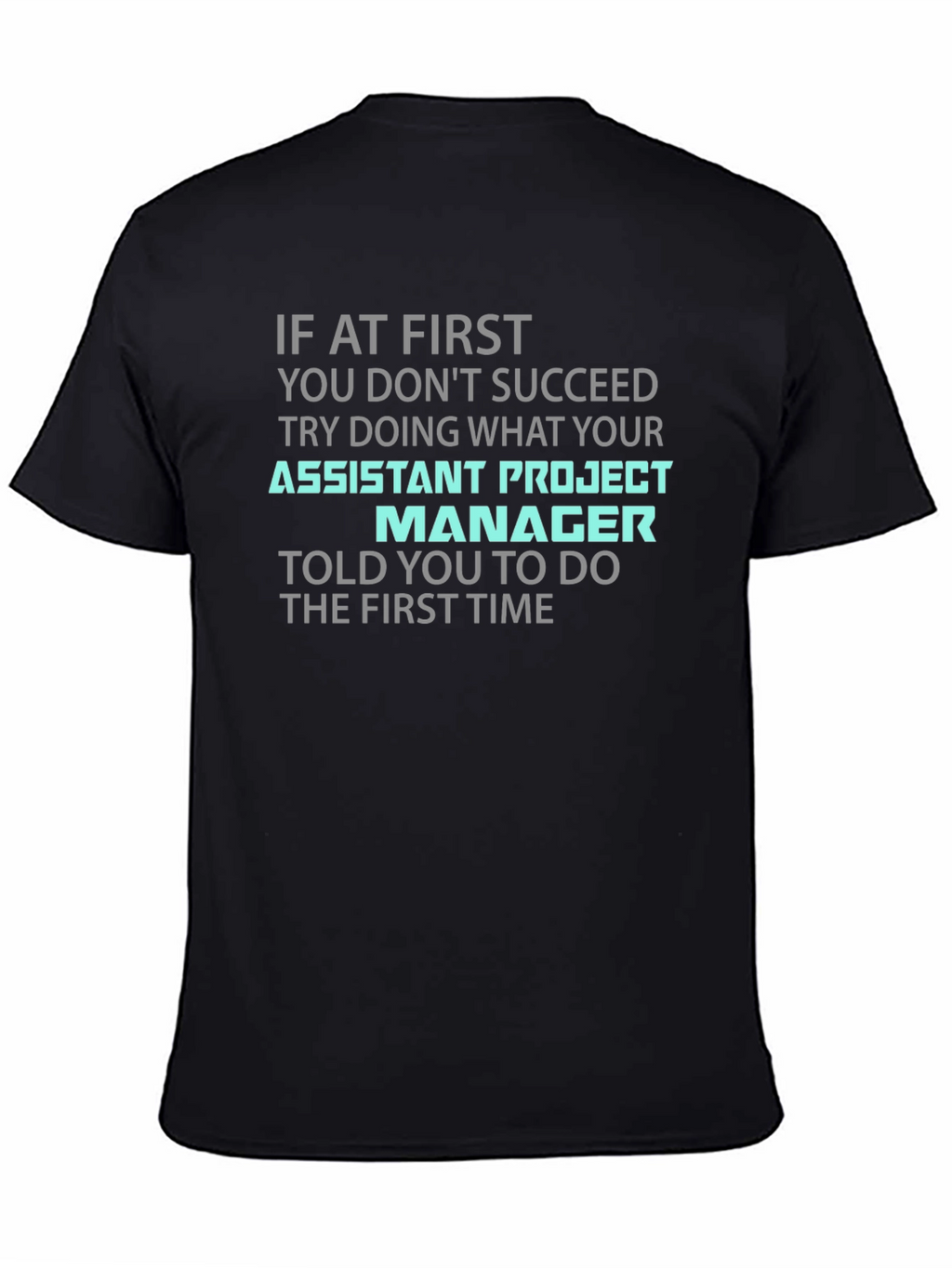Assistant Project Manager Funny T-Shirt
